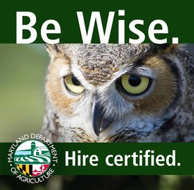 owl3