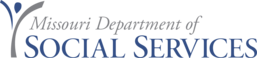 dss logo