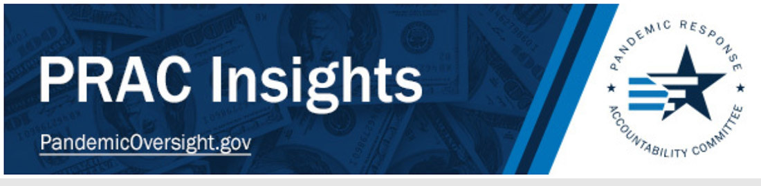 PRAC Insights PandemicOversight.gov